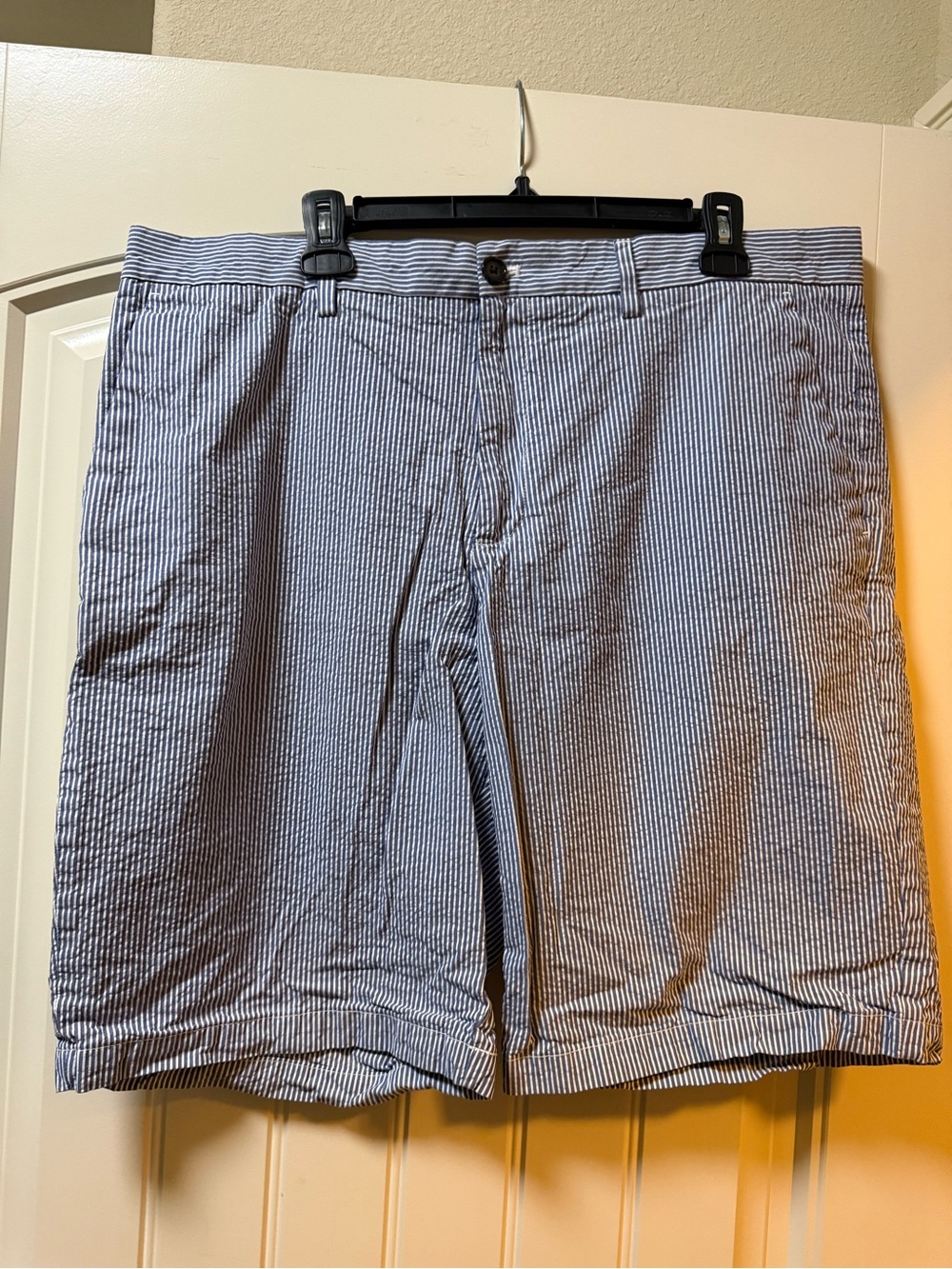 Banana Republic Blue and White Striped Flat-Front Shorts